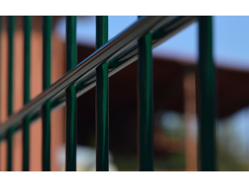 2D panel DOUBLE 2500 mm × 6/5/6 mm ZN+PVC RAL6005